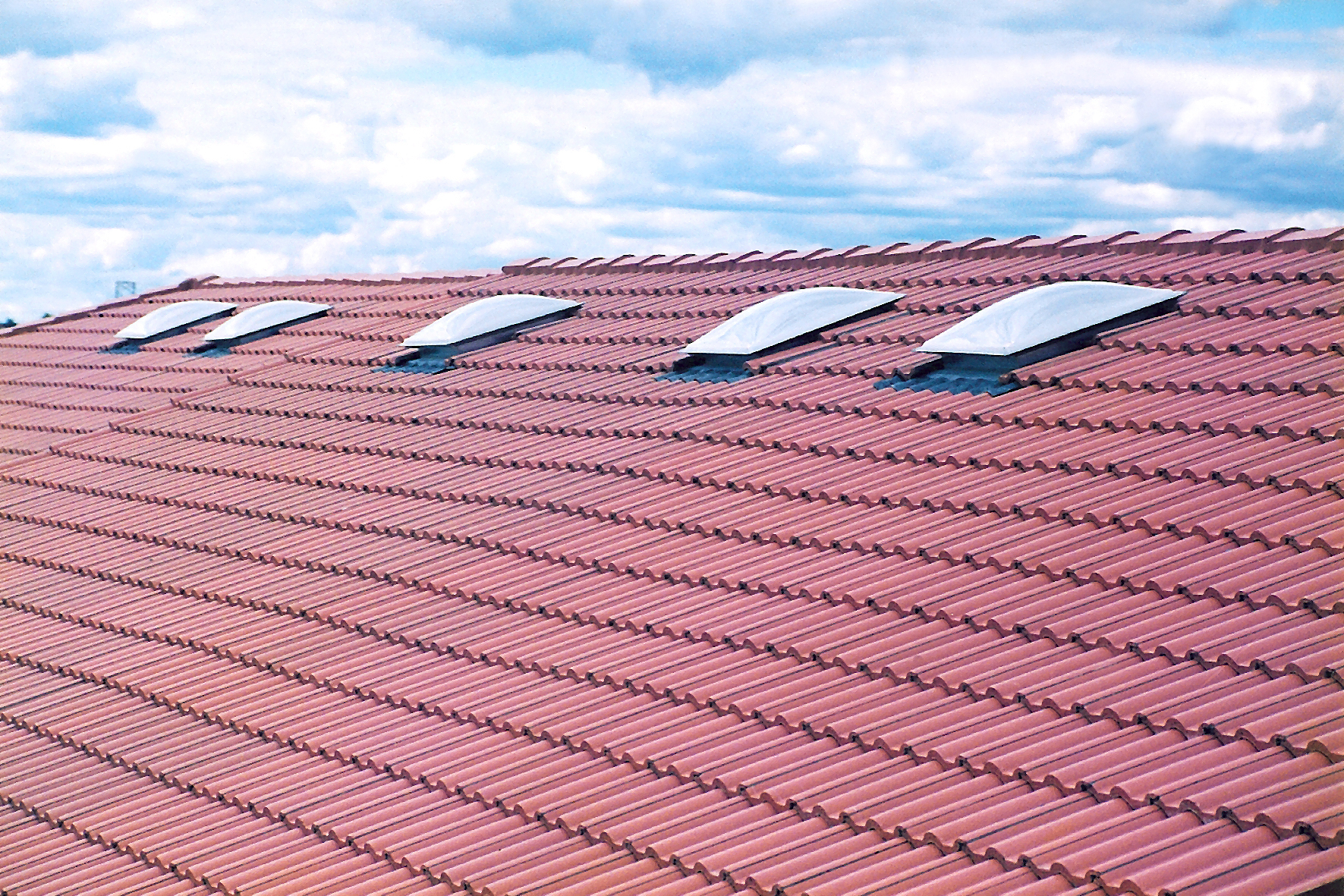 Traditional Skylights